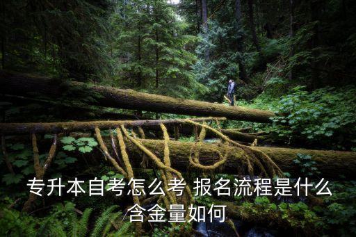  專升本自考怎么考 報名流程是什么含金量如何