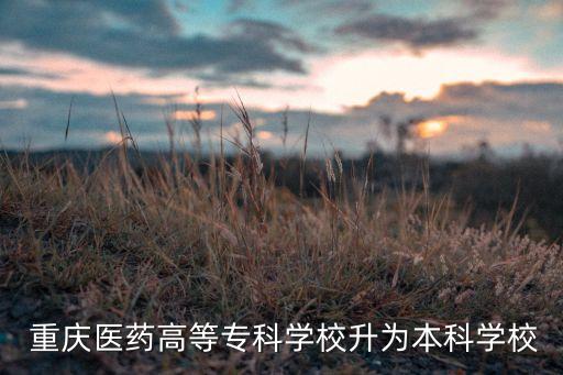  重慶醫(yī)藥高等?？茖W(xué)校升為本科學(xué)校