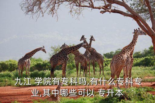  九江 學院有?？茊?有什么?？茖I(yè),其中哪些可以 專升本