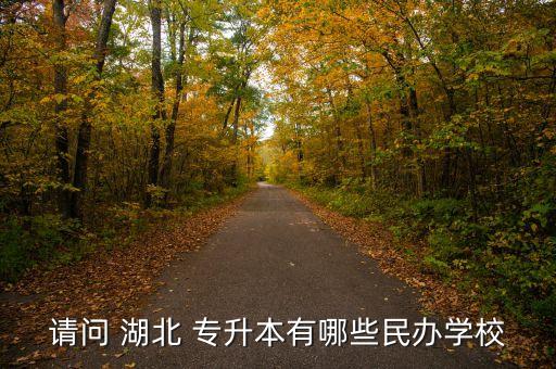 請問 湖北 專升本有哪些民辦學校
