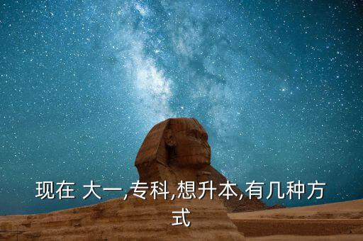現(xiàn)在 大一,?？?想升本,有幾種方式