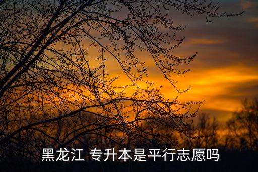  黑龍江 專升本是平行志愿嗎
