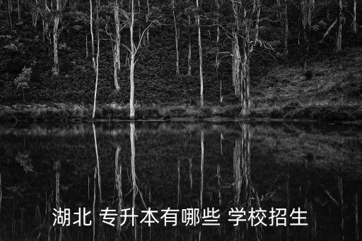 武漢 專升本 學校,2023年武漢專升本學校
