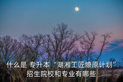什么是 專升本“湖湘工匠燎原計(jì)劃”招生院校和專業(yè)有哪些