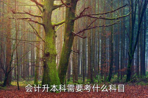 財務(wù)會計 專升本