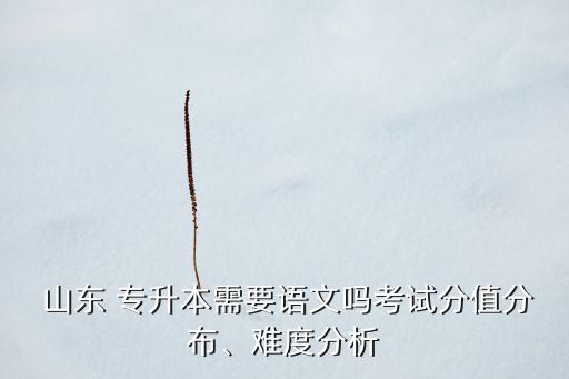  山東 專(zhuān)升本需要語(yǔ)文嗎考試分值分布、難度分析