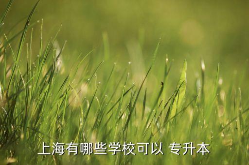 上海有哪些學(xué)?？梢?專升本