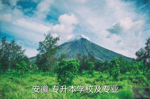  安徽 專升本學校及專業(yè)
