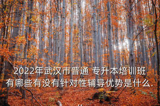 2022年武漢市普通 專升本培訓(xùn)班有哪些有沒(méi)有針對(duì)性輔導(dǎo)優(yōu)勢(shì)是什么...