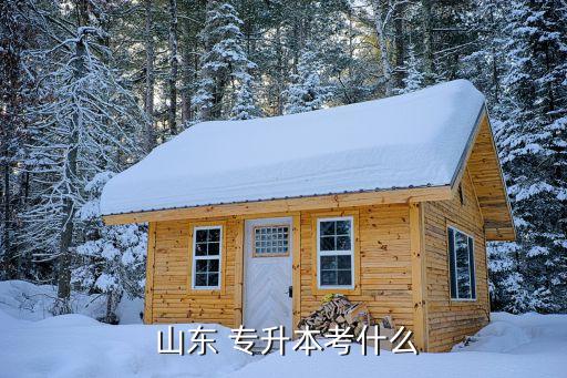 山東2017專(zhuān)升本科目,2017年山東專(zhuān)升本語(yǔ)文作文范文