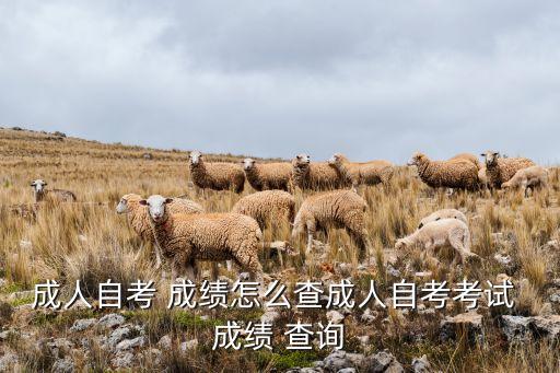 成人自考 成績(jī)?cè)趺床槌扇俗钥伎荚?成績(jī) 查詢(xún)