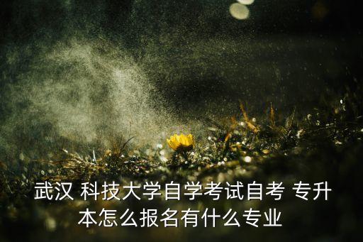  武漢 科技大學(xué)自學(xué)考試自考 專升本怎么報(bào)名有什么專業(yè)
