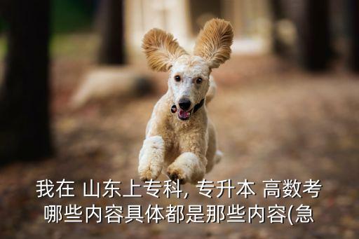 我在 山東上?？? 專升本 高數(shù)考哪些內(nèi)容具體都是那些內(nèi)容(急