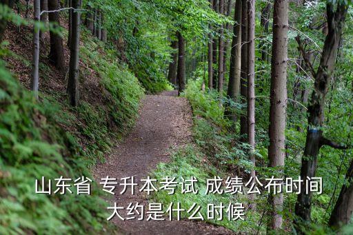  山東省 專(zhuān)升本考試 成績(jī)公布時(shí)間大約是什么時(shí)候