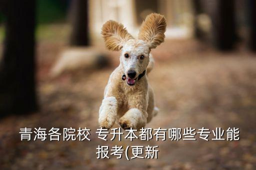 青海大學土木專升本考試,2022年青海大學專升本考試時間