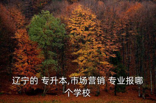 遼寧的 專升本,市場(chǎng)營(yíng)銷 專業(yè)報(bào)哪個(gè)學(xué)校