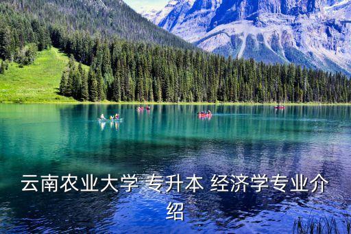 云南農(nóng)業(yè)大學(xué) 專升本 經(jīng)濟(jì)學(xué)專業(yè)介紹