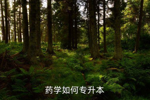 藥學(xué)如何專(zhuān)升本