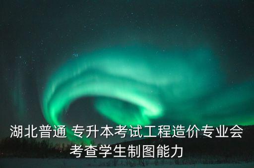 武昌工學(xué)院專(zhuān)升本計(jì)算機(jī)題型
