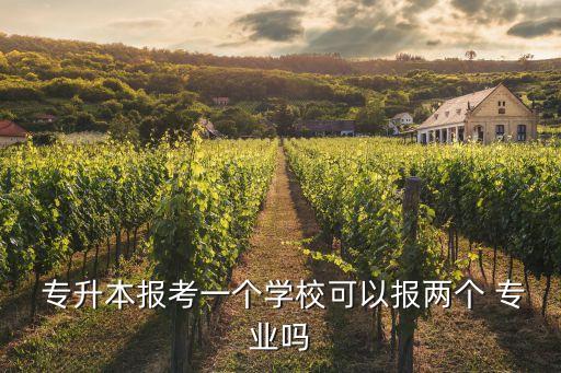  專升本報(bào)考一個(gè)學(xué)校可以報(bào)兩個(gè) 專業(yè)嗎