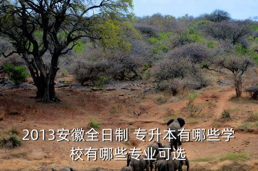 2013安徽全日制 專升本有哪些學校有哪些專業(yè)可選