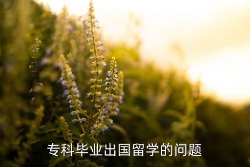 ?？飘厴I(yè)出國留學(xué)的問題