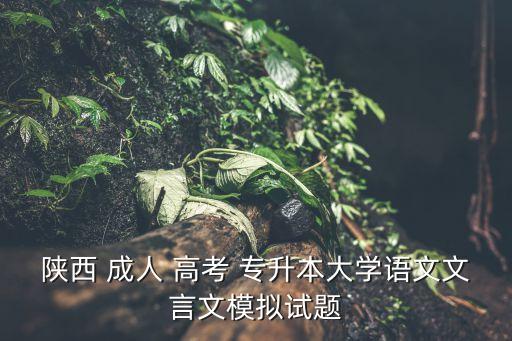 陜西 成人 高考 專升本大學語文文言文模擬試題