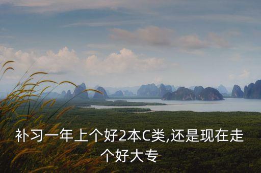 補習(xí)一年上個好2本C類,還是現(xiàn)在走個好大專