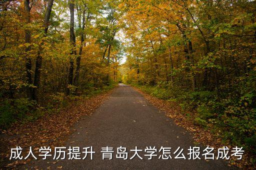 成人學(xué)歷提升 青島大學(xué)怎么報名成考