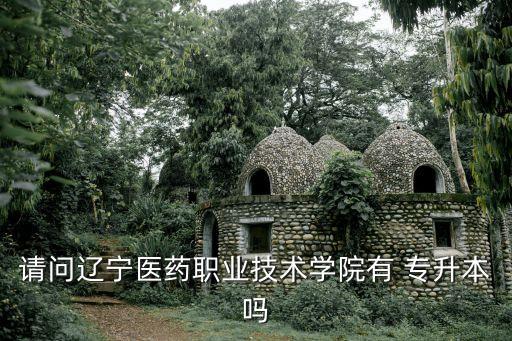 請問遼寧醫(yī)藥職業(yè)技術(shù)學(xué)院有 專升本嗎
