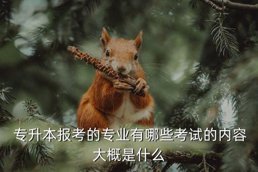  專升本報(bào)考的專業(yè)有哪些考試的內(nèi)容大概是什么