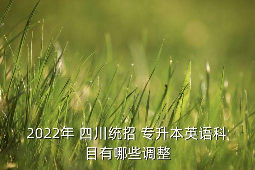 2022年 四川統(tǒng)招 專升本英語科目有哪些調(diào)整