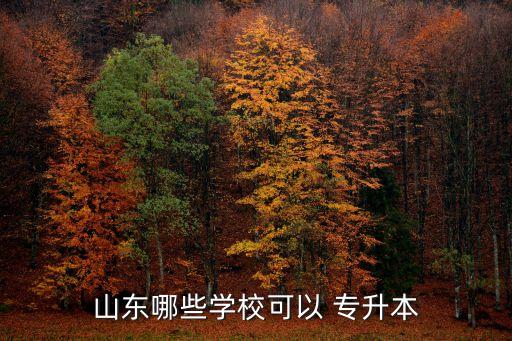 山東哪些學?？梢?專升本