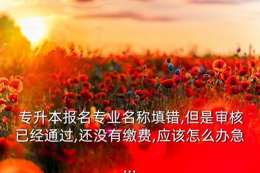  專升本報(bào)名專業(yè)名稱填錯(cuò),但是審核已經(jīng)通過,還沒有繳費(fèi),應(yīng)該怎么辦急...