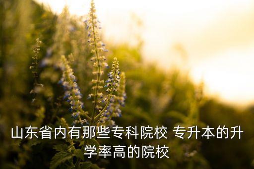 山東省內有那些?？圃盒?專升本的升學率高的院校