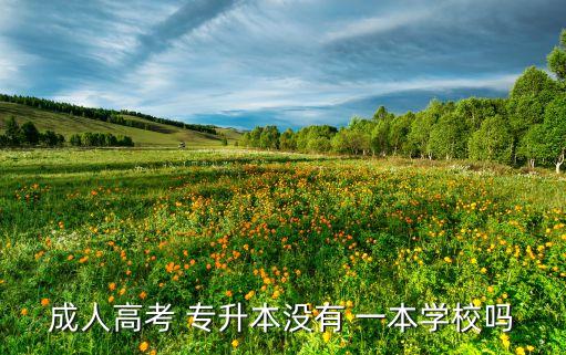 成人高考 專(zhuān)升本沒(méi)有 一本學(xué)校嗎
