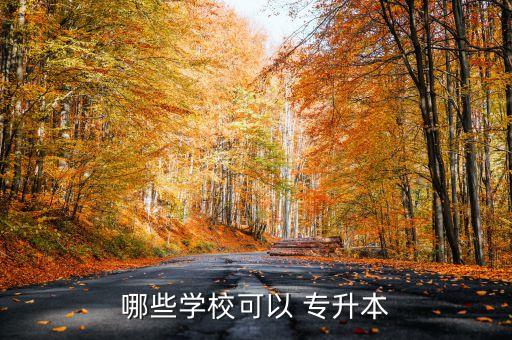 哪些學(xué)?？梢?專升本