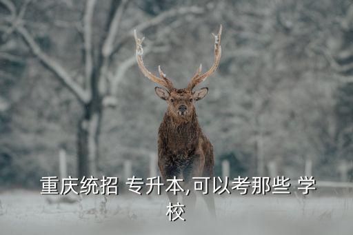  重慶統(tǒng)招 專升本,可以考那些 學校