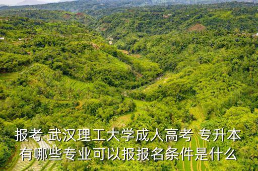 報考 武漢理工大學成人高考 專升本有哪些專業(yè)可以報報名條件是什么