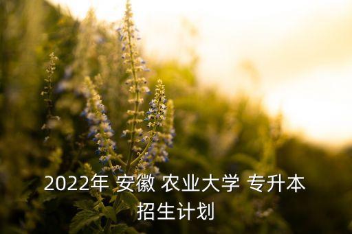 2022年 安徽 農(nóng)業(yè)大學(xué) 專升本招生計劃