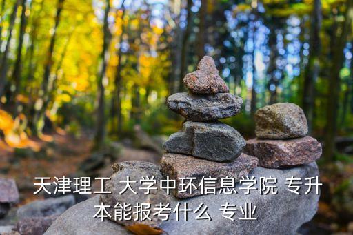  天津理工 大學(xué)中環(huán)信息學(xué)院 專(zhuān)升本能報(bào)考什么 專(zhuān)業(yè)