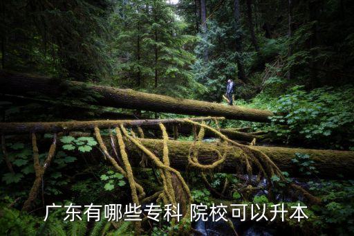 廣東有哪些?？?院校可以升本