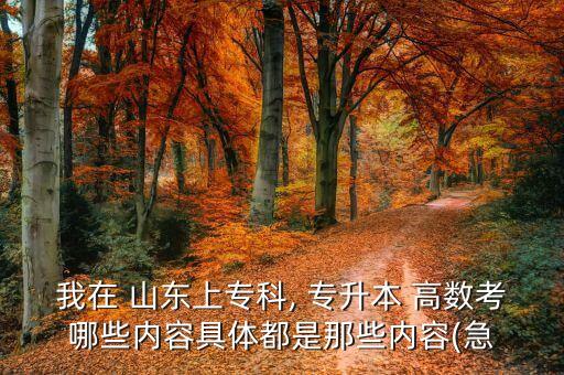 我在 山東上?？? 專升本 高數(shù)考哪些內(nèi)容具體都是那些內(nèi)容(急
