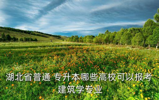 湖北省普通 專升本哪些高?？梢詧罂?建筑學(xué)專業(yè)
