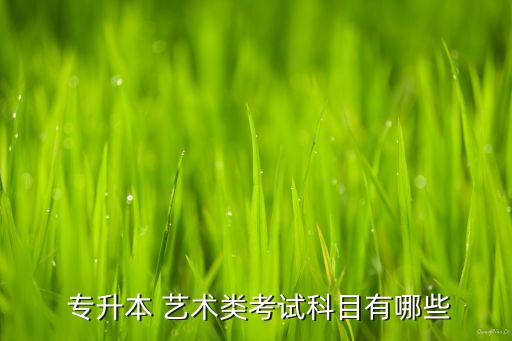  專升本 藝術(shù)類考試科目有哪些