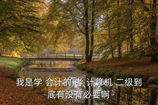 會(huì)計(jì)專升本計(jì)算機(jī)二級(jí)嗎,山東會(huì)計(jì)專業(yè)專升本計(jì)算機(jī)考什么