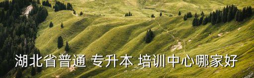 湖北省普通 專升本 培訓(xùn)中心哪家好