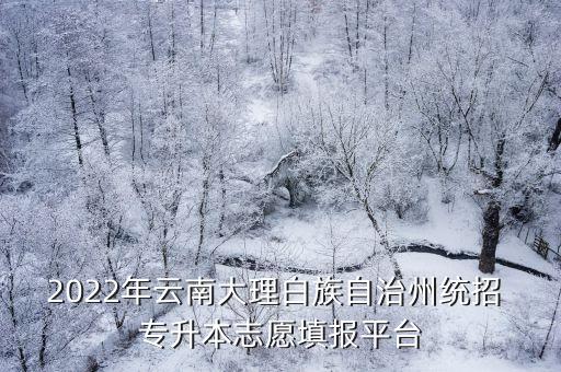 2022年云南大理白族自治州統(tǒng)招 專升本志愿填報平臺
