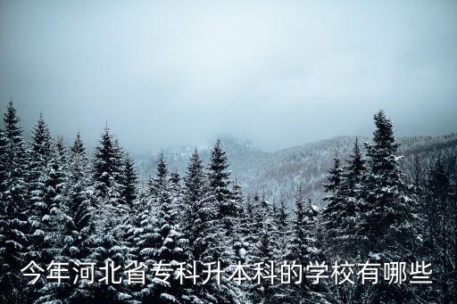 今年河北省?？粕究频膶W(xué)校有哪些