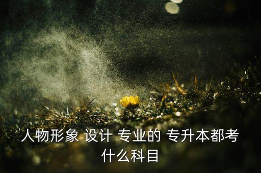 人物形象 設計 專業(yè)的 專升本都考什么科目